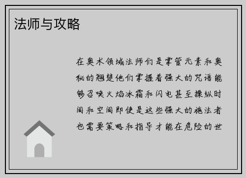 法师与攻略
