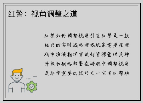 红警：视角调整之道